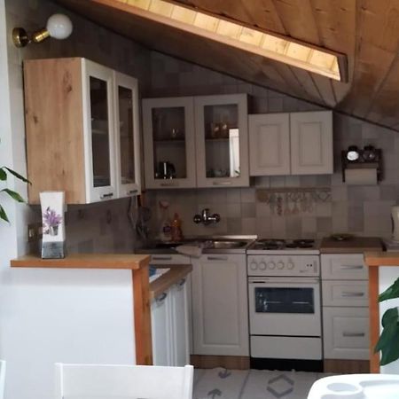 Apartment Gaudeamus Umag Exterior foto